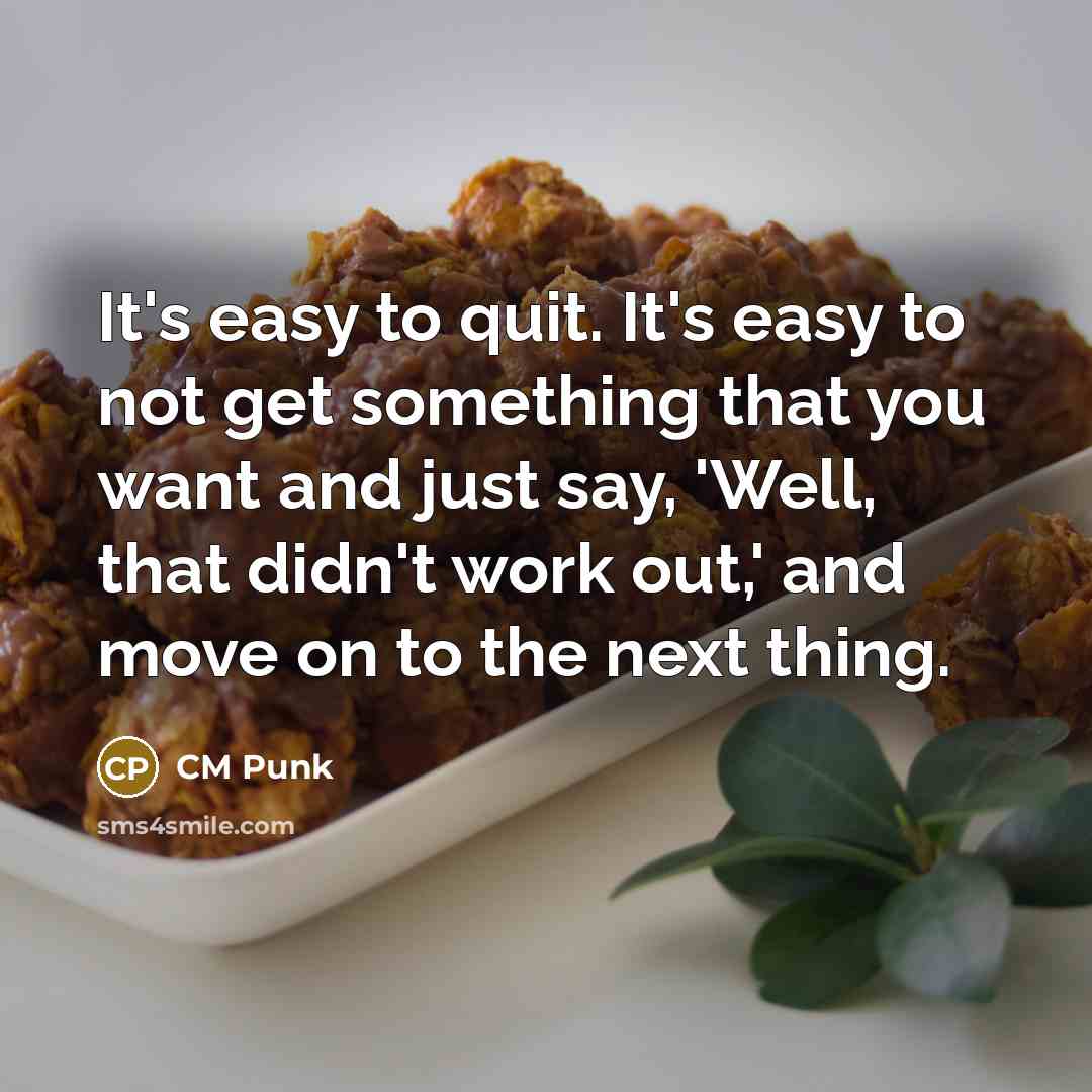 “It's easy to quit. It's easy to not get something that you want and just say, 'Well, that didn't work out,' and move on to the next thing.” quote by CM Punk