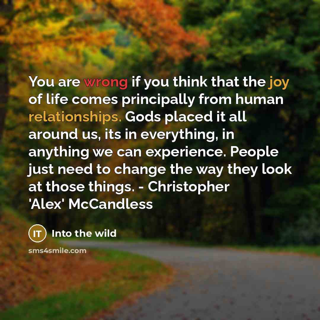“You are wrong if you think that the joy of life comes principally from human relationships. Gods placed it all around us, its in everything, in anything we can experience. People just need to change the way they look at those things. - Christopher 'Alex' McCandless” quote by Into The Wild