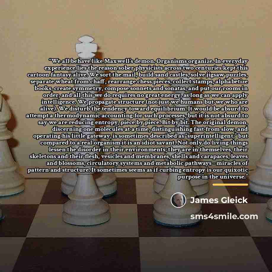 “We all behave like Maxwell’s demon. Organisms organize. In everyday experience lies the reason sober physicists across two centuries kept this cartoon fantasy alive. We sort the mail, build sand castles, solve jigsaw puzzles, separate wheat from chaff, rearrange chess pieces, collect stamps…” quote by James Gleick