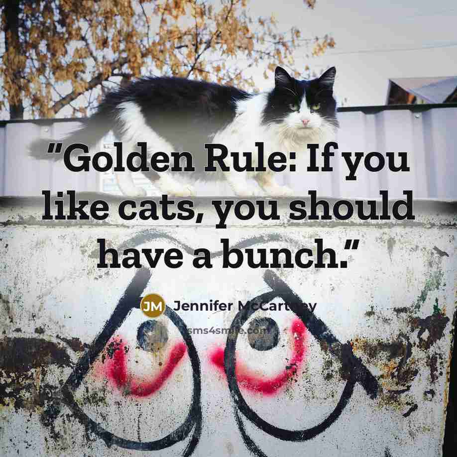“Golden Rule: If you like cats, you should have a bunch.” quote by Jennifer McCartney