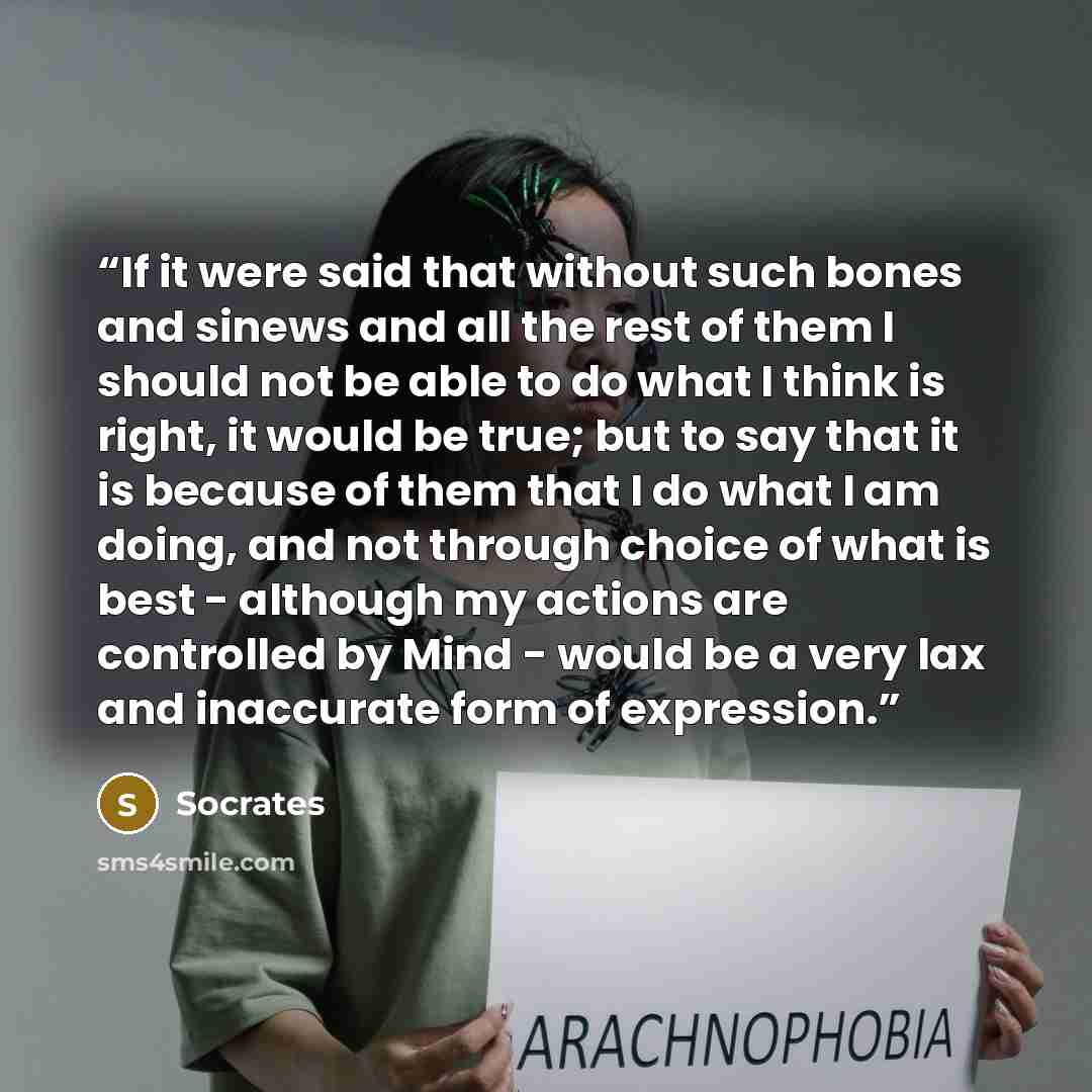 “If it were said that without such bones and sinews and all the rest of them I should not be able to do what I think is right, it would be true; but to say that it is because of them that I do what I am doing, and not through choice of what is best - although my actions are controlled by Mind…” quote by Socrates