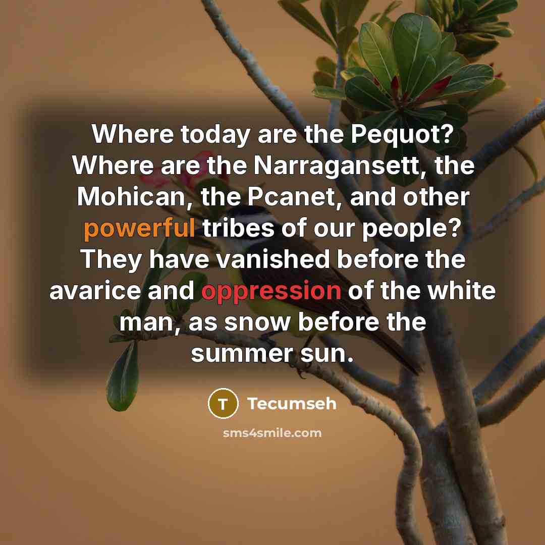 “Where today are the Pequot? Where are the Narragansett, the Mohican, the Pcanet, and other powerful tribes of our people? They have vanished before the avarice and oppression of the white man, as snow before the summer sun.” quote by Tecumseh