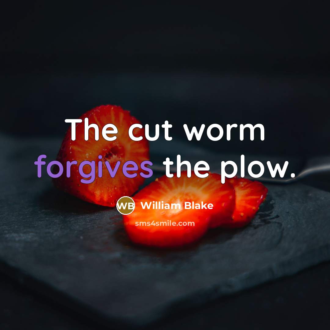 “The cut worm forgives the plow.” quote by William Blake