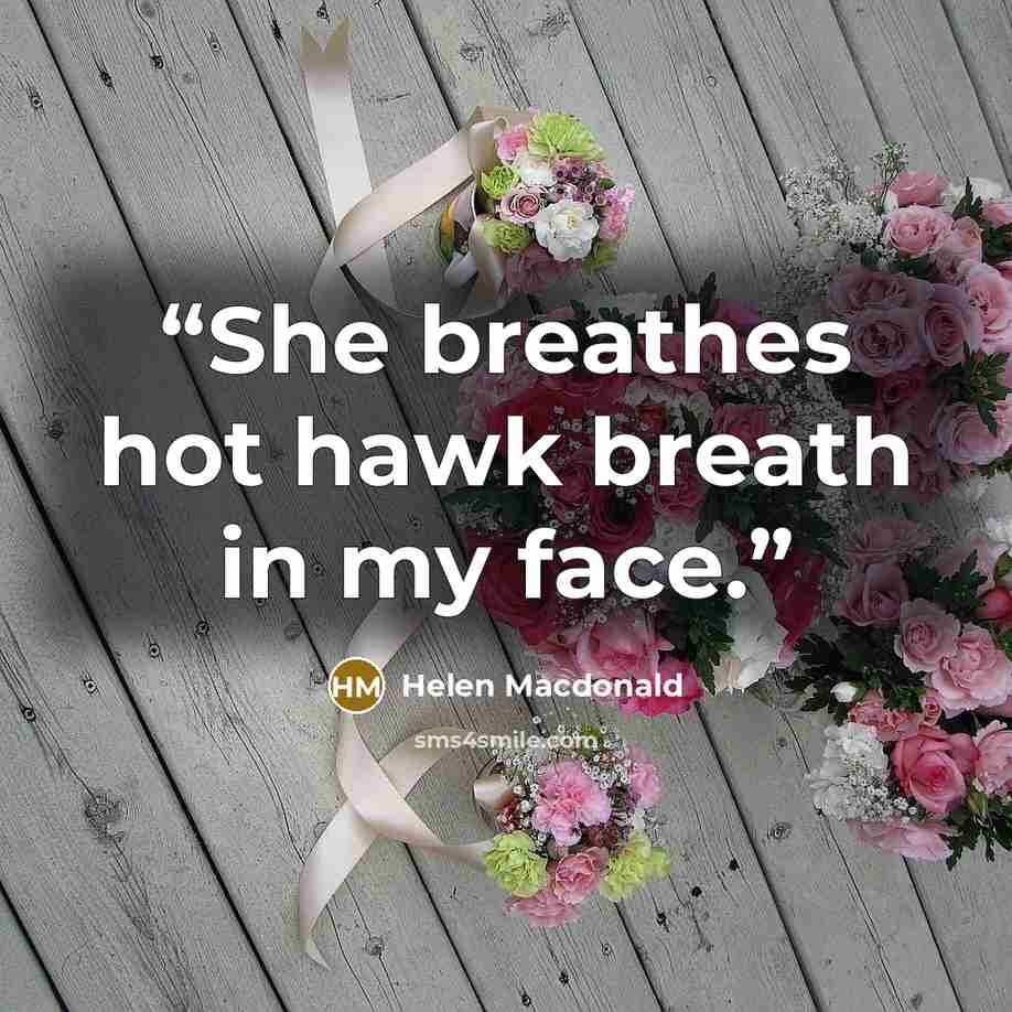 “She breathes hot hawk breath in my face.” quote by Helen Macdonald