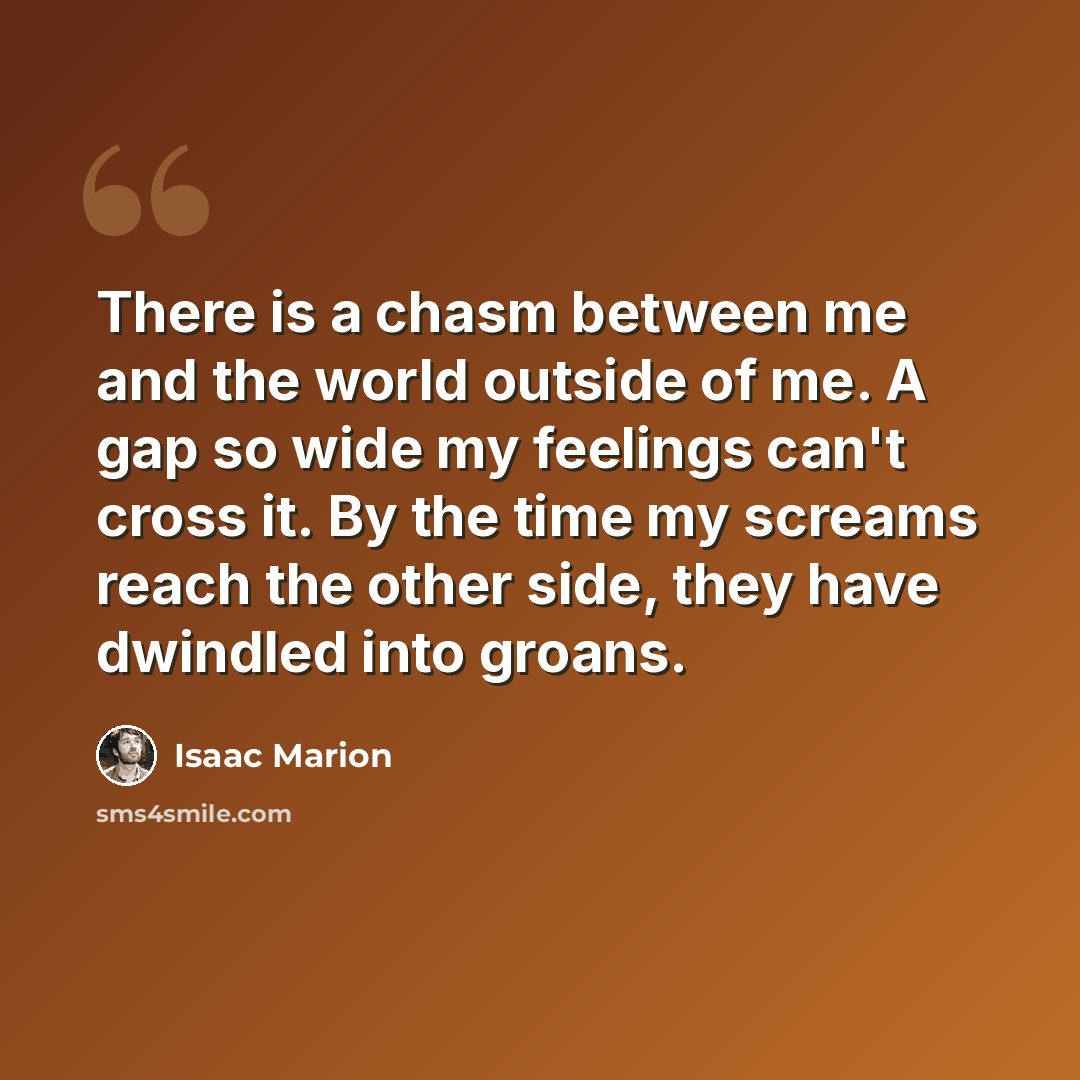 “There is a chasm between me and the world outside of me. A gap so wide my feelings can't cross it. By the time my screams reach the other side, they have dwindled into groans.” quote by Isaac Marion