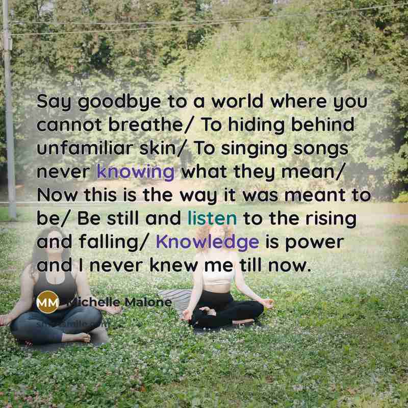 “Say goodbye to a world where you cannot breathe/ To hiding behind unfamiliar skin/ To singing songs never knowing what they mean/ Now this is the way it was meant to be/ Be still and listen to the rising and falling/ Knowledge is power and I never knew me till now.” quote by Michelle Malone