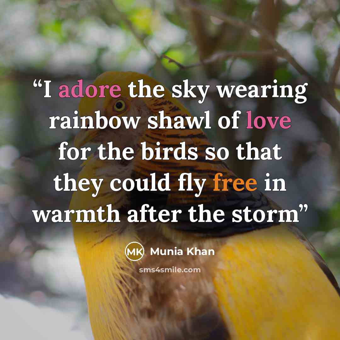 “I adore the sky wearing rainbow shawl of love for the birds so that they could fly free in warmth after the storm” quote by Munia Khan