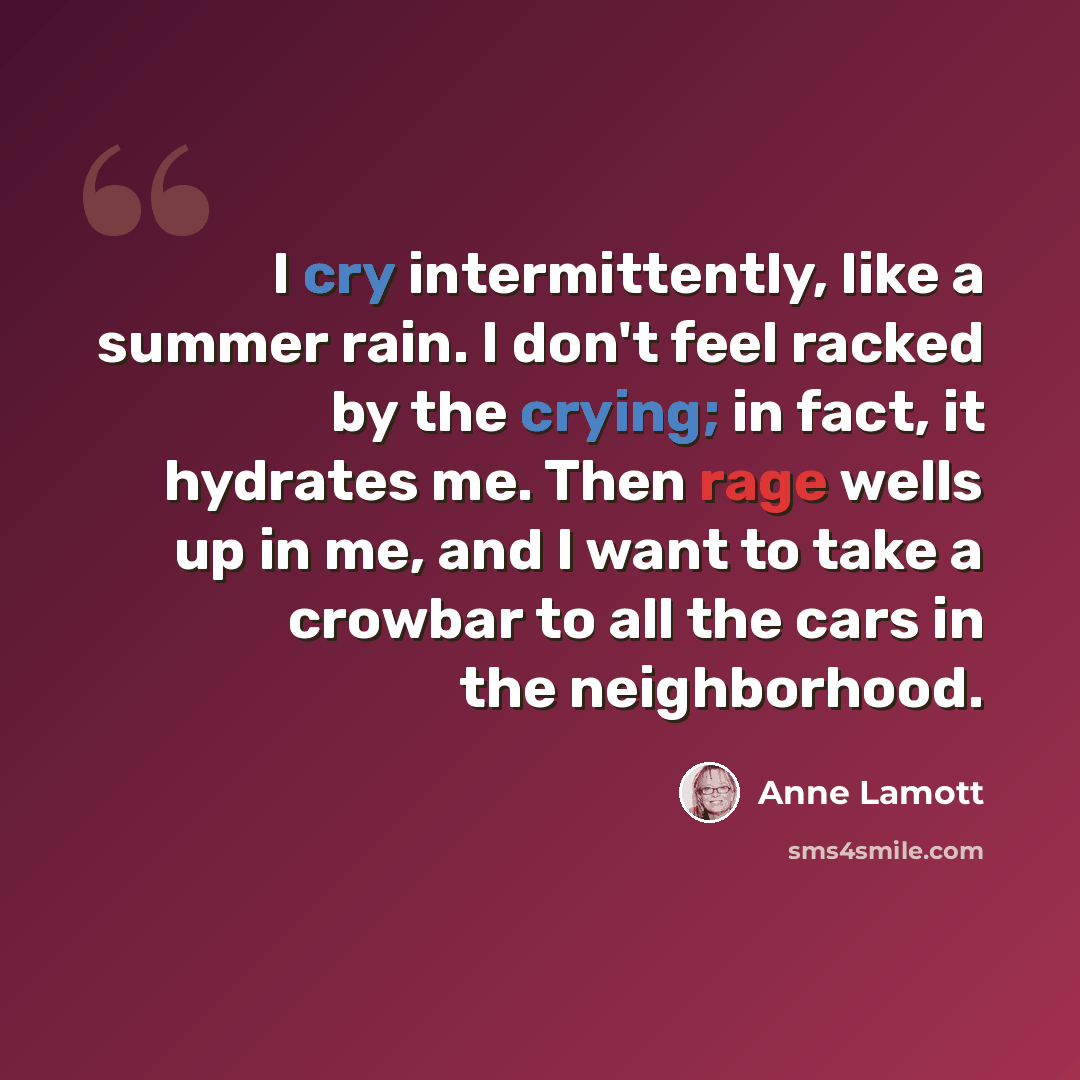 “I cry intermittently, like a summer rain. I don't feel racked by the crying; in fact, it hydrates me. Then rage wells up in me, and I want to take a crowbar to all the cars in the neighborhood.” quote by Anne Lamott