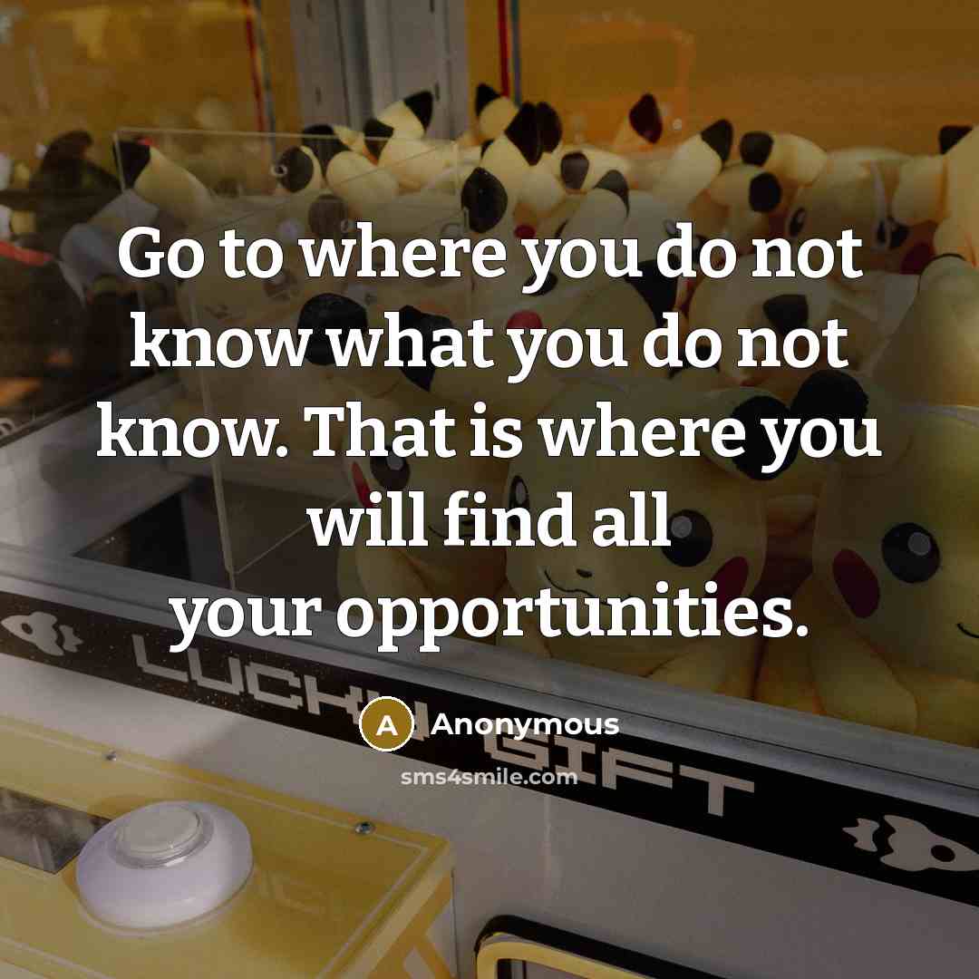 “Go to where you do not know what you do not know. That is where you will find all your opportunities.” quote by Anonymous