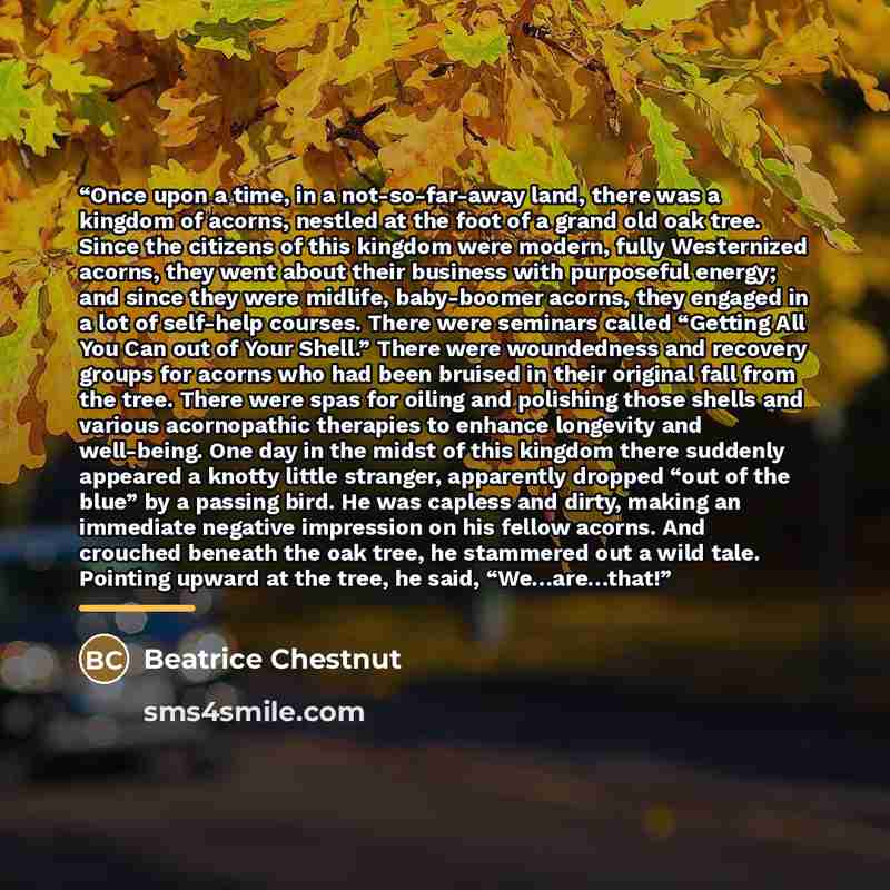 “Once upon a time, in a not-so-far-away land, there was a kingdom of acorns, nestled at the foot of a grand old oak tree. Since the citizens of this kingdom were modern, fully Westernized acorns, they went about their business with purposeful energy; and since they were midlife, baby-boomer acorns…” quote by Beatrice Chestnut
