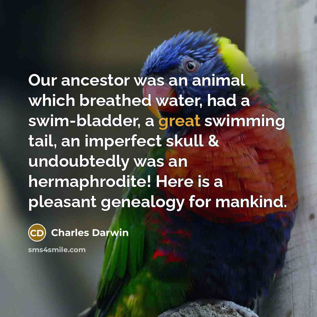 “Our ancestor was an animal which breathed water, had a swim-bladder, a great swimming tail, an imperfect skull & undoubtedly was an hermaphrodite! Here is a pleasant genealogy for mankind.” quote by Charles Darwin