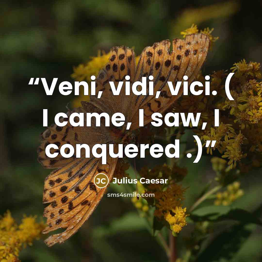 “Veni, vidi, vici. ( I came, I saw, I conquered .)” quote by Julius Caesar