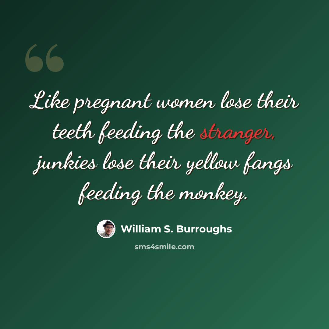 “Like pregnant women lose their teeth feeding the stranger, junkies lose their yellow fangs feeding the monkey.” quote by William S. Burroughs
