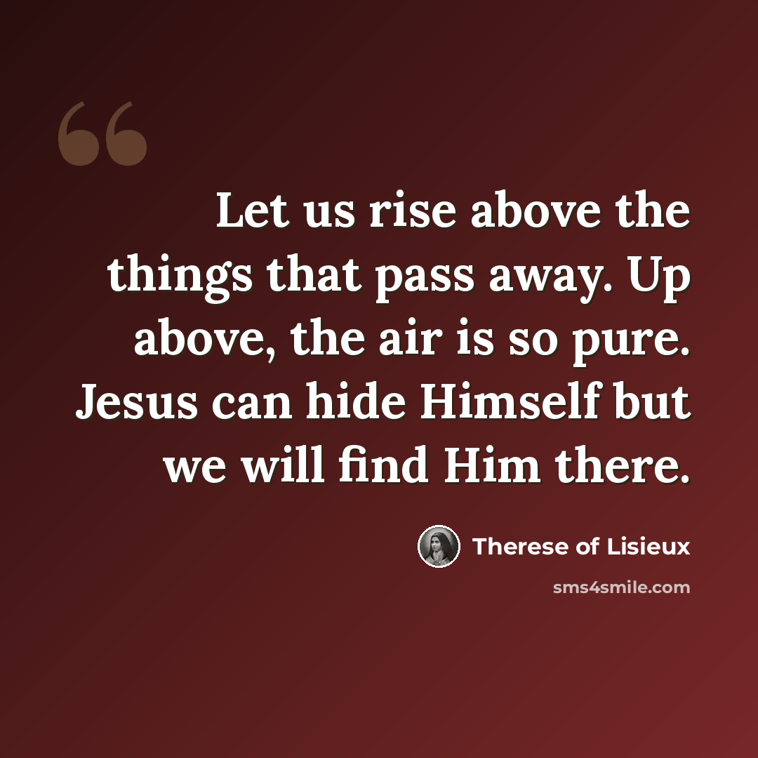“Let us rise above the things that pass away. Up above, the air is so pure. Jesus can hide Himself but we will find Him there.” quote by Therese of Lisieux