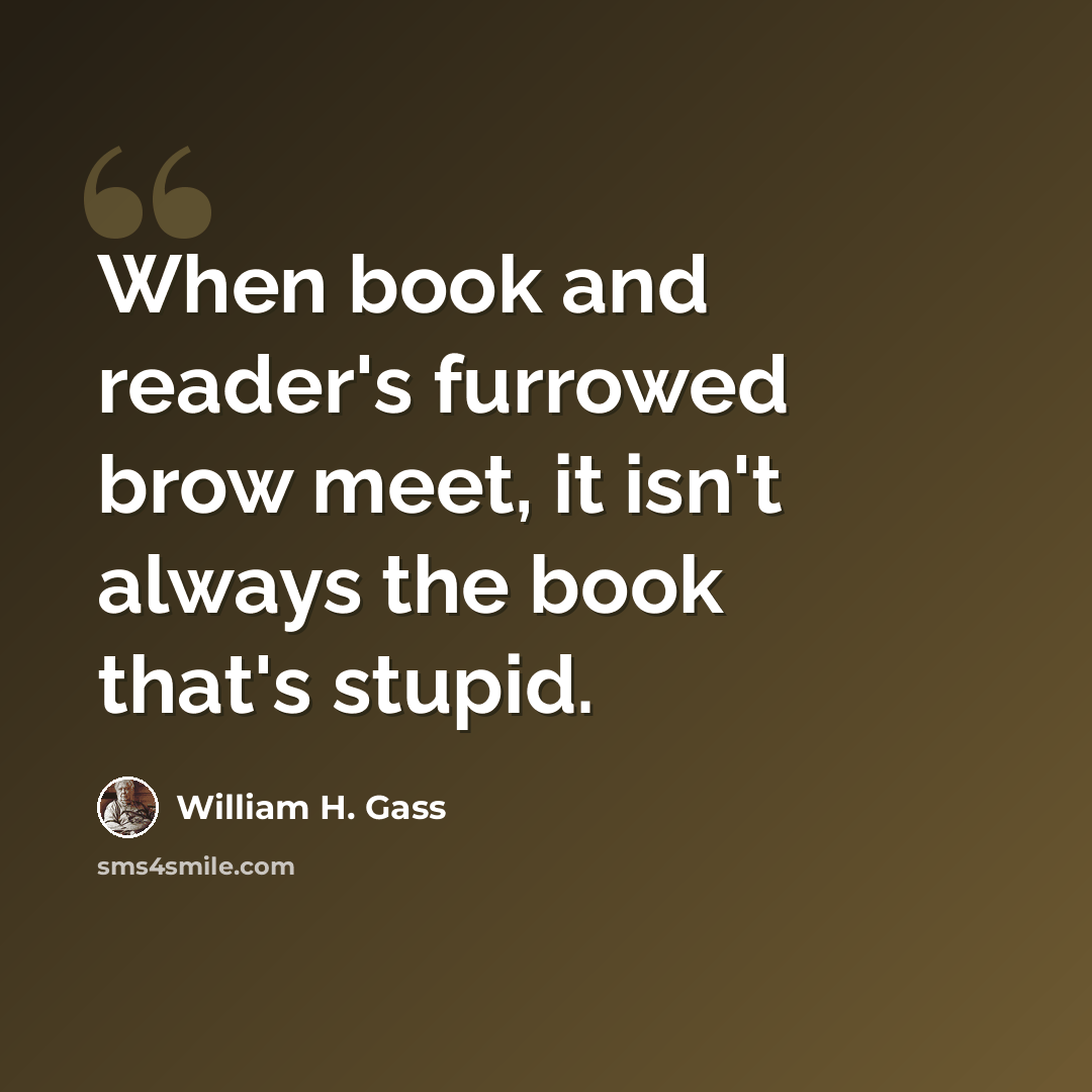 “When book and reader's furrowed brow meet, it isn't always the book that's stupid.” quote by William H. Gass