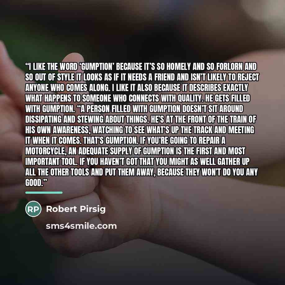 “I like the word ‘gumption’ because it’s so homely and so forlorn and so out of style it looks as if it needs a friend and isn’t likely to reject anyone who comes along. I like it also because it describes exactly what happens to someone who connects with Quality. He gets filled with gumption. “A…” quote by Robert Pirsig