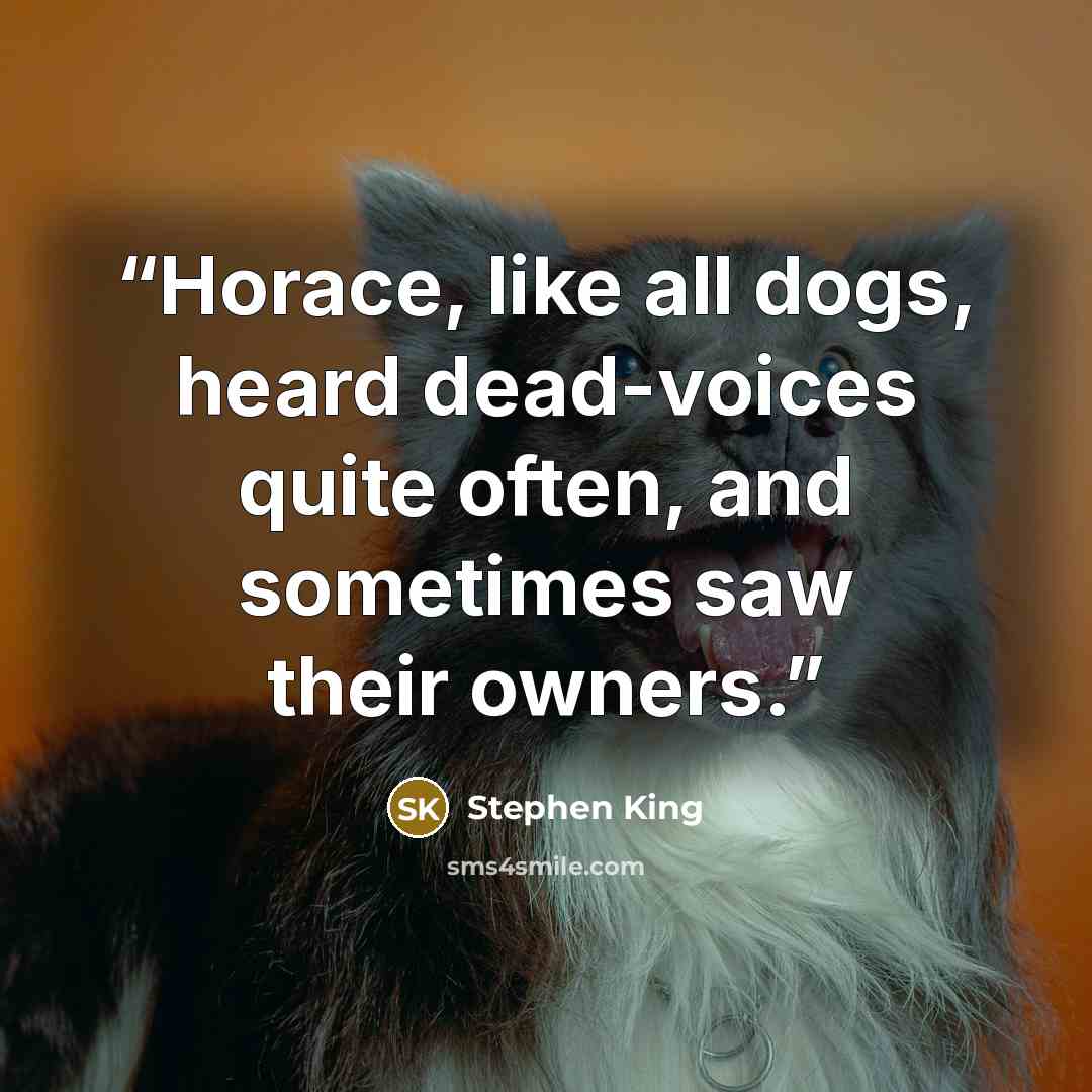 “Horace, like all dogs, heard dead-voices quite often, and sometimes saw their owners.” quote by Stephen King