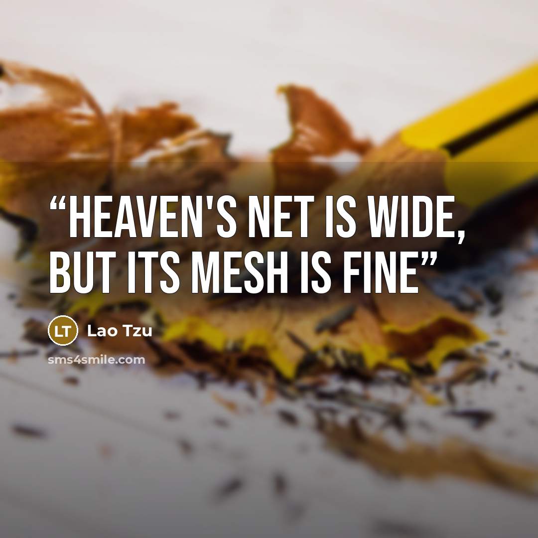 “Heaven's net is wide, but its mesh is fine” quote by Lao Tzu