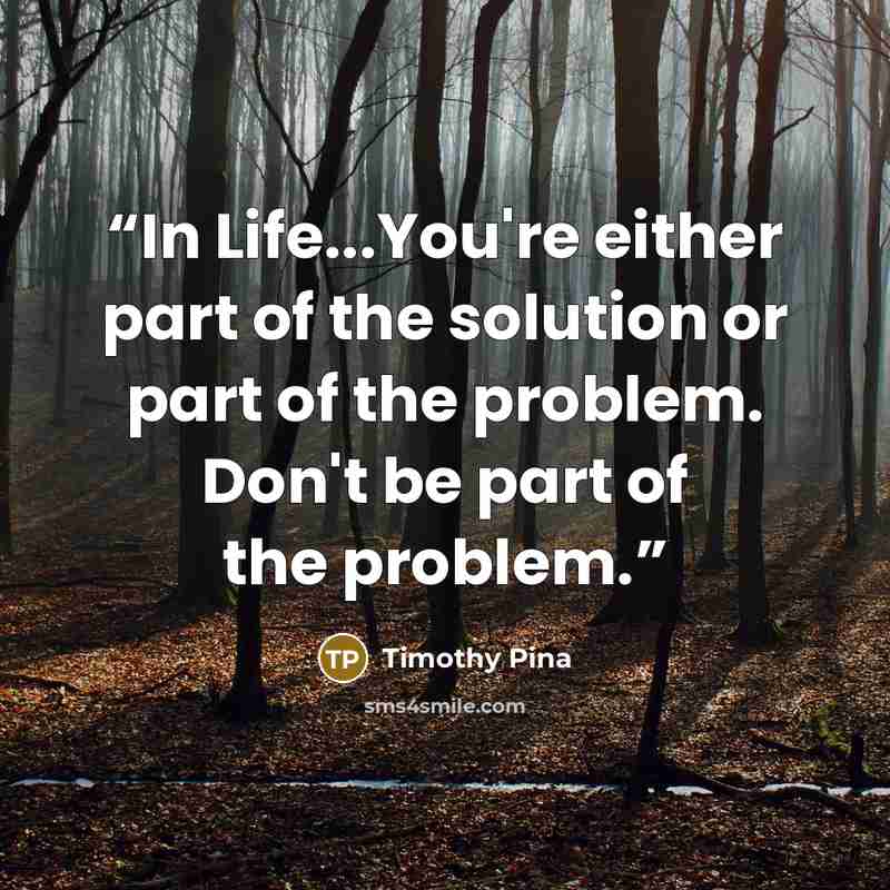 “In Life...You're either part of the solution or part of the problem. Don't be part of the problem.” quote by Timothy Pina