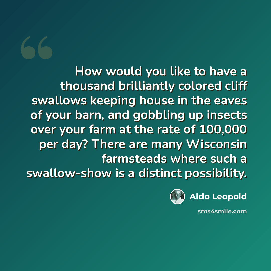 “How would you like to have a thousand brilliantly colored cliff swallows keeping house in the eaves of your barn, and gobbling up insects over your farm at the rate of 100,000 per day? There are many Wisconsin farmsteads where such a swallow-show is a distinct possibility.” quote by Aldo Leopold