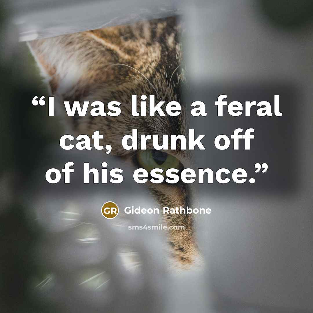 “I was like a feral cat, drunk off of his essence.” quote by Gideon Rathbone