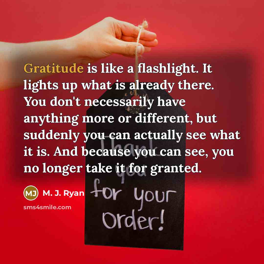 “Gratitude is like a flashlight. It lights up what is already there. You don't necessarily have anything more or different, but suddenly you can actually see what it is. And because you can see, you no longer take it for granted.” quote by M. J. Ryan