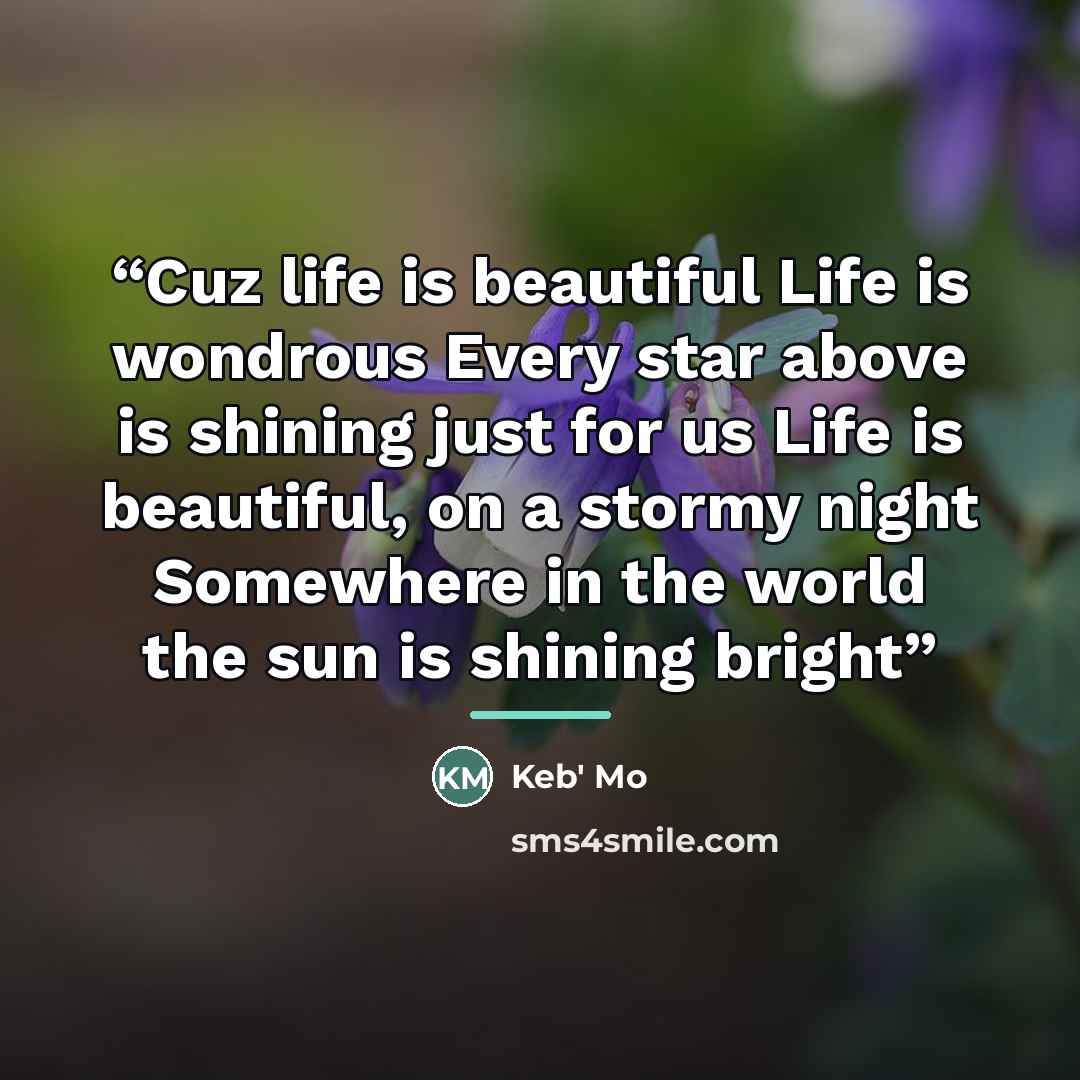 “Cuz life is beautiful Life is wondrous Every star above is shining just for us Life is beautiful, on a stormy night Somewhere in the world the sun is shining bright” quote by Keb