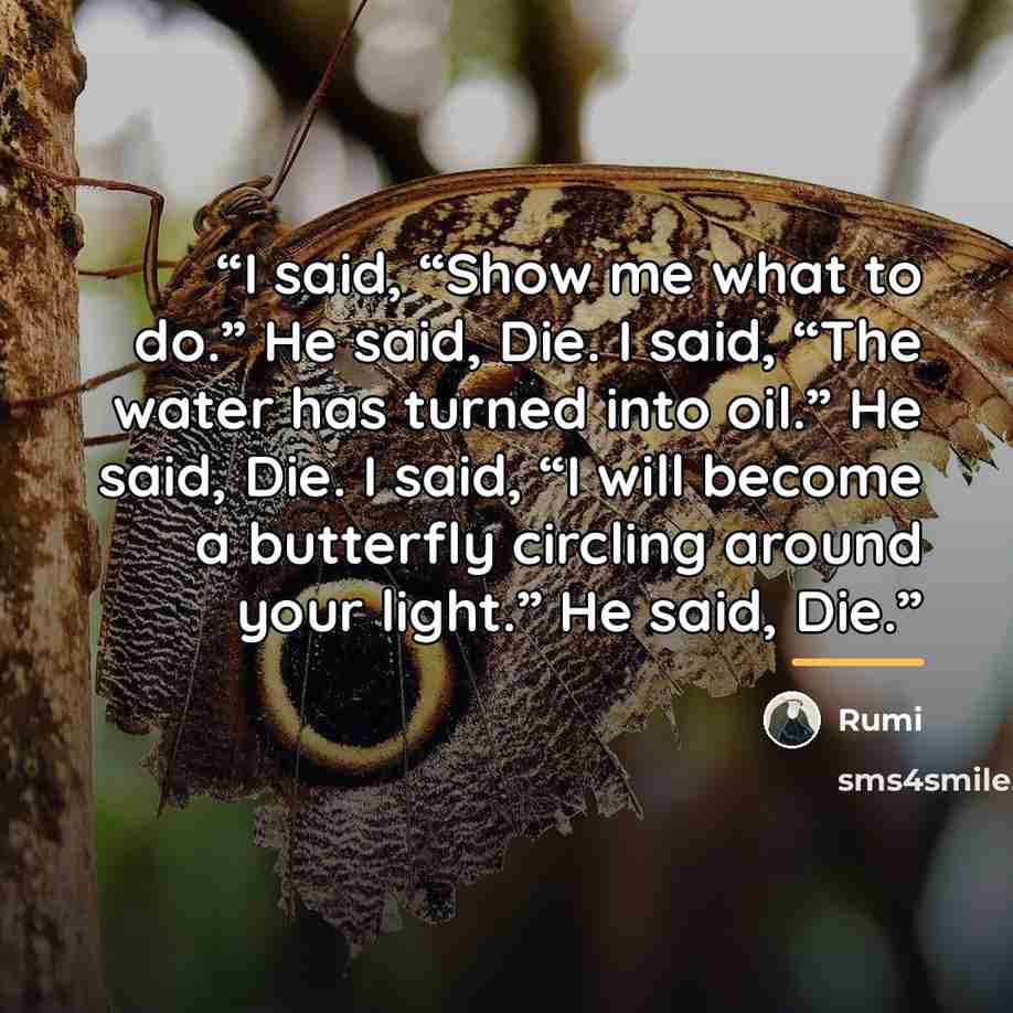 “I said, “Show me what to do.” He said, Die. I said, “The water has turned into oil.” He said, Die. I said, “I will become a butterfly circling around your light.” He said, Die.” quote by Rumi
