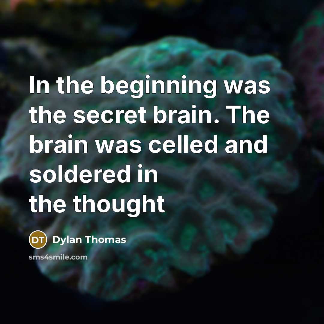 “In the beginning was the secret brain. The brain was celled and soldered in the thought” quote by Dylan Thomas