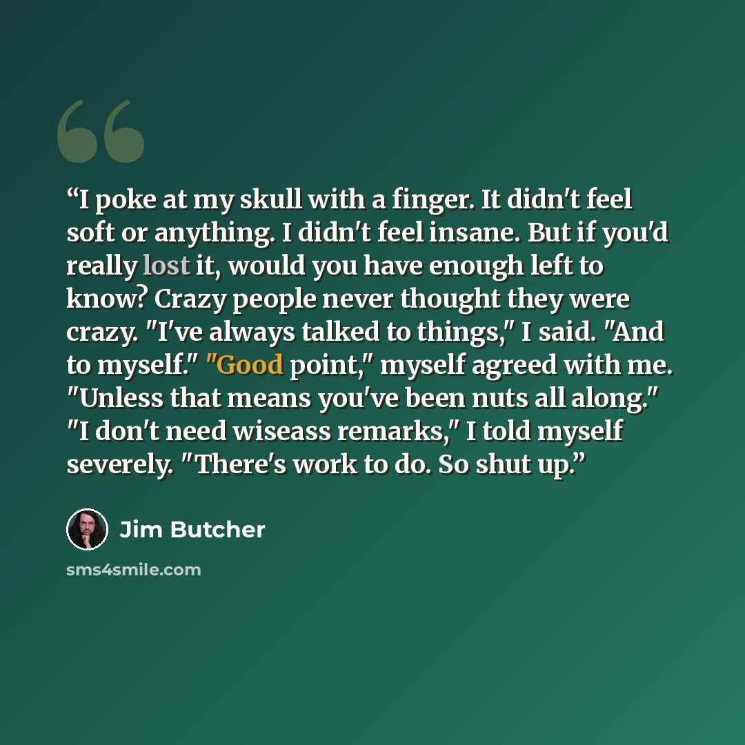 “I poke at my skull with a finger. It didn't feel soft or anything. I didn't feel insane. But if you'd really lost it, would you have enough left to know? Crazy people never thought they were crazy. "I've always talked to things," I said. "And to myself." "Good point," myself agreed with me…” quote by Jim Butcher
