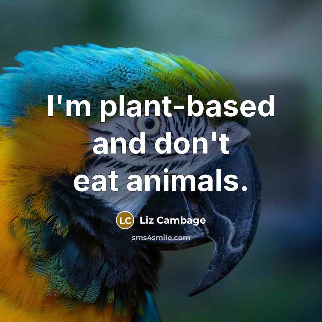 “I'm plant-based and don't eat animals.” quote by Liz Cambage