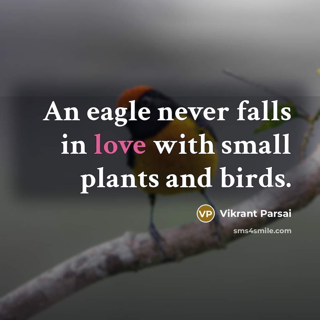 “An eagle never falls in love with small plants and birds.” quote by Vikrant Parsai