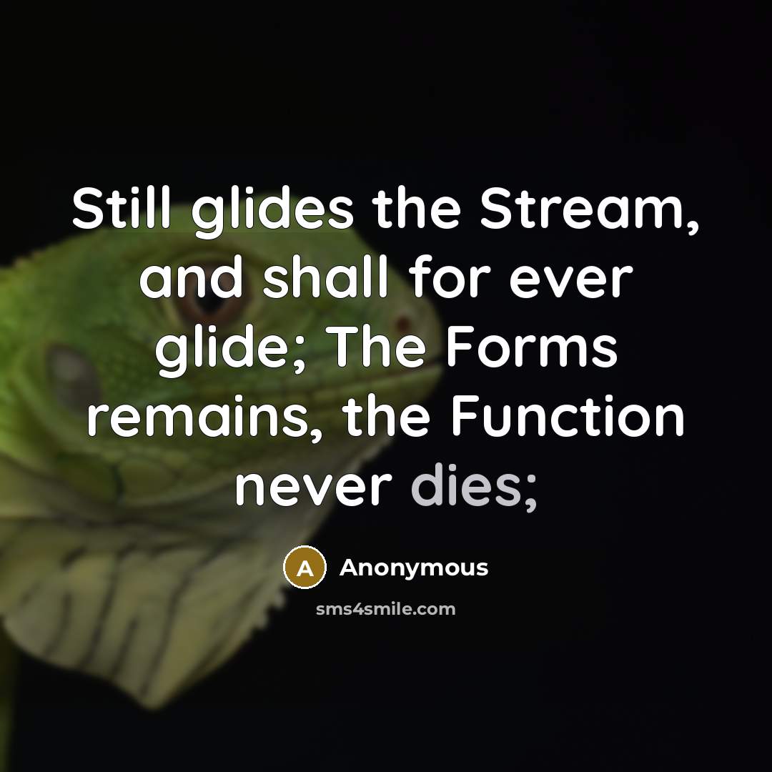 “Still glides the Stream, and shall for ever glide; The Forms remains, the Function never dies;” quote by Anonymous