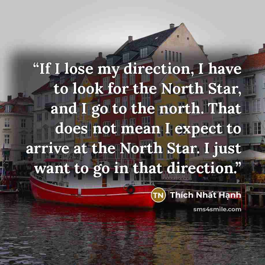 “If I lose my direction, I have to look for the North Star, and I go to the north. That does not mean I expect to arrive at the North Star. I just want to go in that direction.” quote by Thich Nhat Hanh