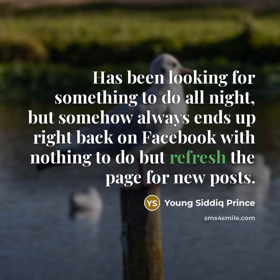 “Has been looking for something to do all night, but somehow always ends up right back on Facebook with nothing to do but refresh the page for new posts.” quote by Young Siddiq Prince