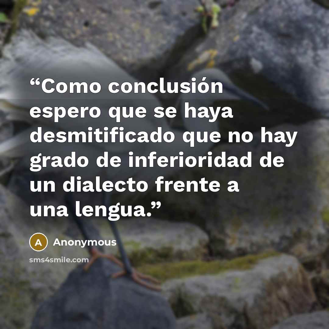 “Como conclusión espero que se haya desmitificado que no hay grado de inferioridad de un dialecto frente a una lengua.” quote by Anonymous
