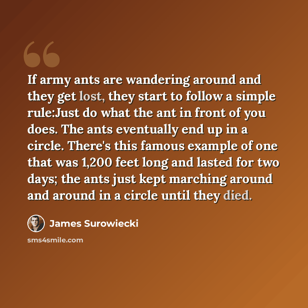 “If army ants are wandering around and they get lost, they start to follow a simple rule:Just do what the ant in front of you does. The ants eventually end up in a circle. There's this famous example of one that was 1,200 feet long and lasted for two days; the ants just kept marching around and…” quote by James Surowiecki