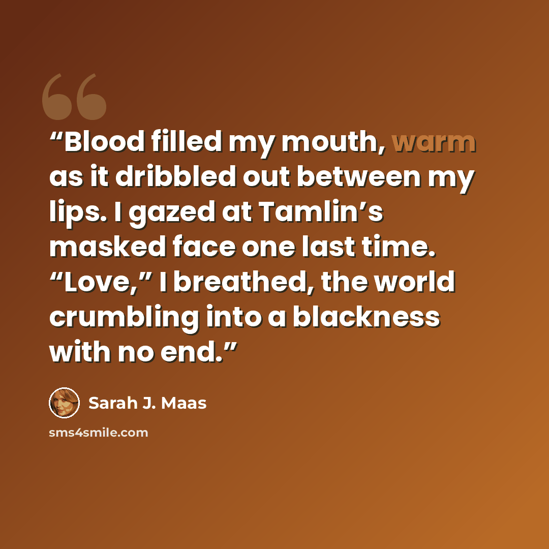 “Blood filled my mouth, warm as it dribbled out between my lips. I gazed at Tamlin’s masked face one last time. “Love,” I breathed, the world crumbling into a blackness with no end.” quote by Sarah J. Maas