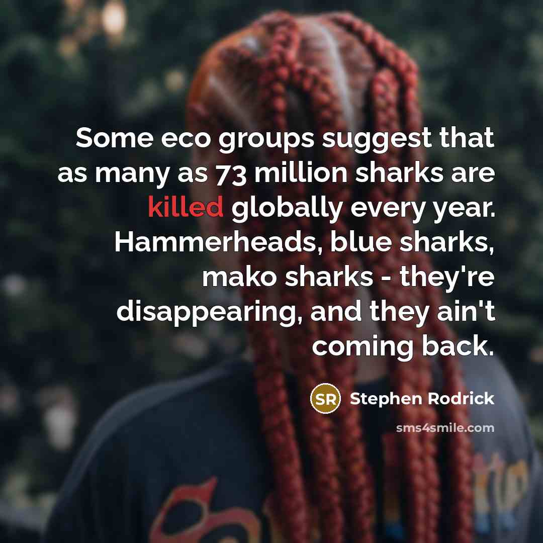 “Some eco groups suggest that as many as 73 million sharks are killed globally every year. Hammerheads, blue sharks, mako sharks - they're disappearing, and they ain't coming back.” quote by Stephen Rodrick