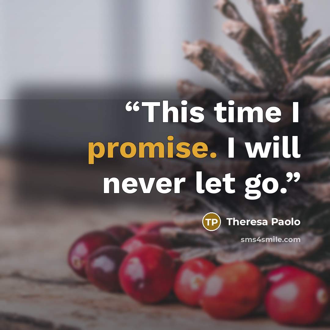“This time I promise. I will never let go.” quote by Theresa Paolo