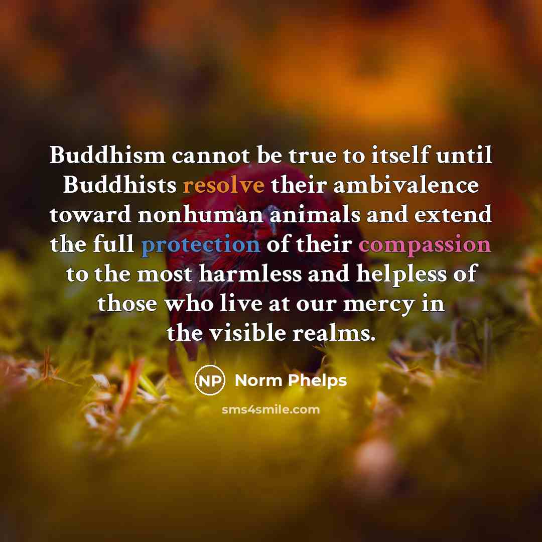 “Buddhism cannot be true to itself until Buddhists resolve their ambivalence toward nonhuman animals and extend the full protection of their compassion to the most harmless and helpless of those who live at our mercy in the visible realms.” quote by Norm Phelps