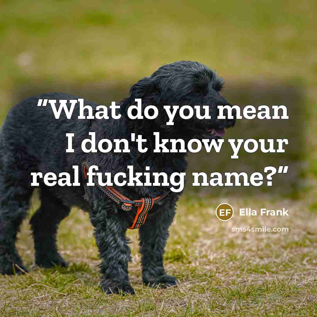 “What do you mean I don't know your real fucking name?” quote by Ella Frank