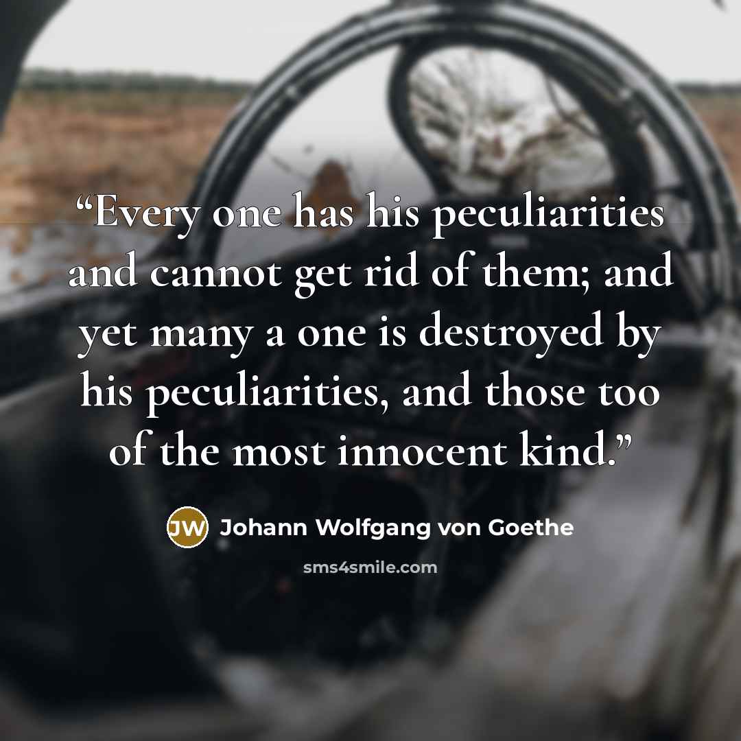 “Every one has his peculiarities and cannot get rid of them; and yet many a one is destroyed by his peculiarities, and those too of the most innocent kind.” quote by Johann Wolfgang von Goethe