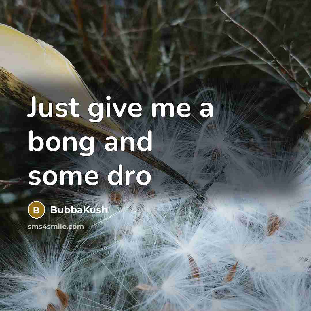 “Just give me a bong and some dro” quote by BubbaKush