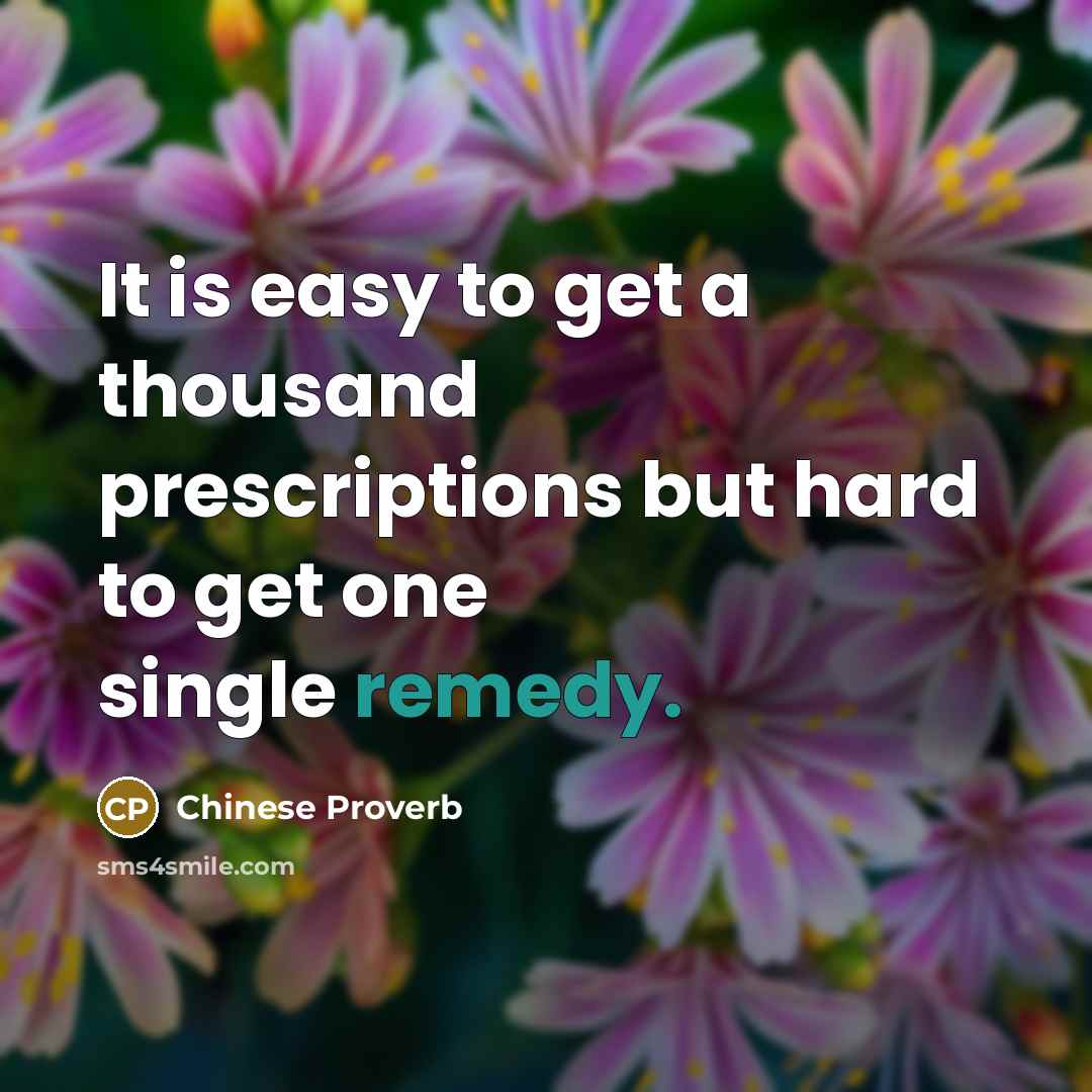 “It is easy to get a thousand prescriptions but hard to get one single remedy.” quote by Chinese Proverb