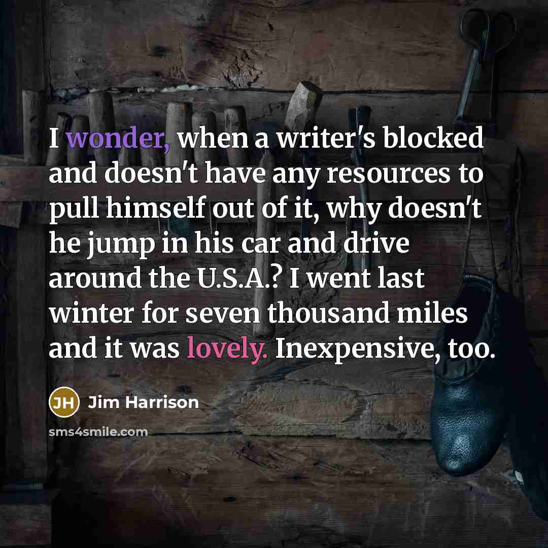“I wonder, when a writer's blocked and doesn't have any resources to pull himself out of it, why doesn't he jump in his car and drive around the U.S.A.? I went last winter for seven thousand miles and it was lovely. Inexpensive, too.” quote by Jim Harrison