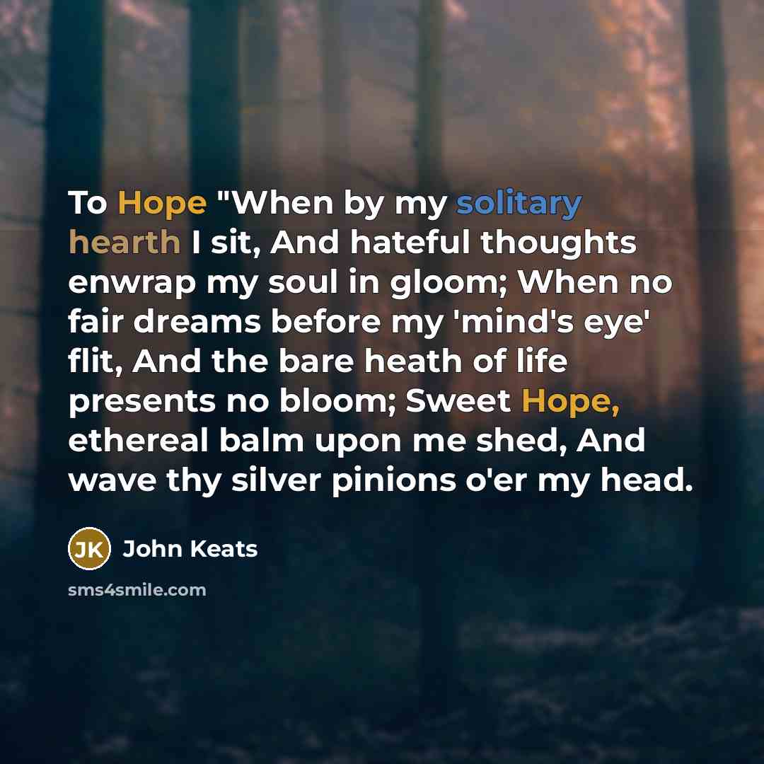 “To Hope "When by my solitary hearth I sit, And hateful thoughts enwrap my soul in gloom; When no fair dreams before my 'mind's eye' flit, And the bare heath of life presents no bloom; Sweet Hope, ethereal balm upon me shed, And wave thy silver pinions o'er my head.” quote by John Keats