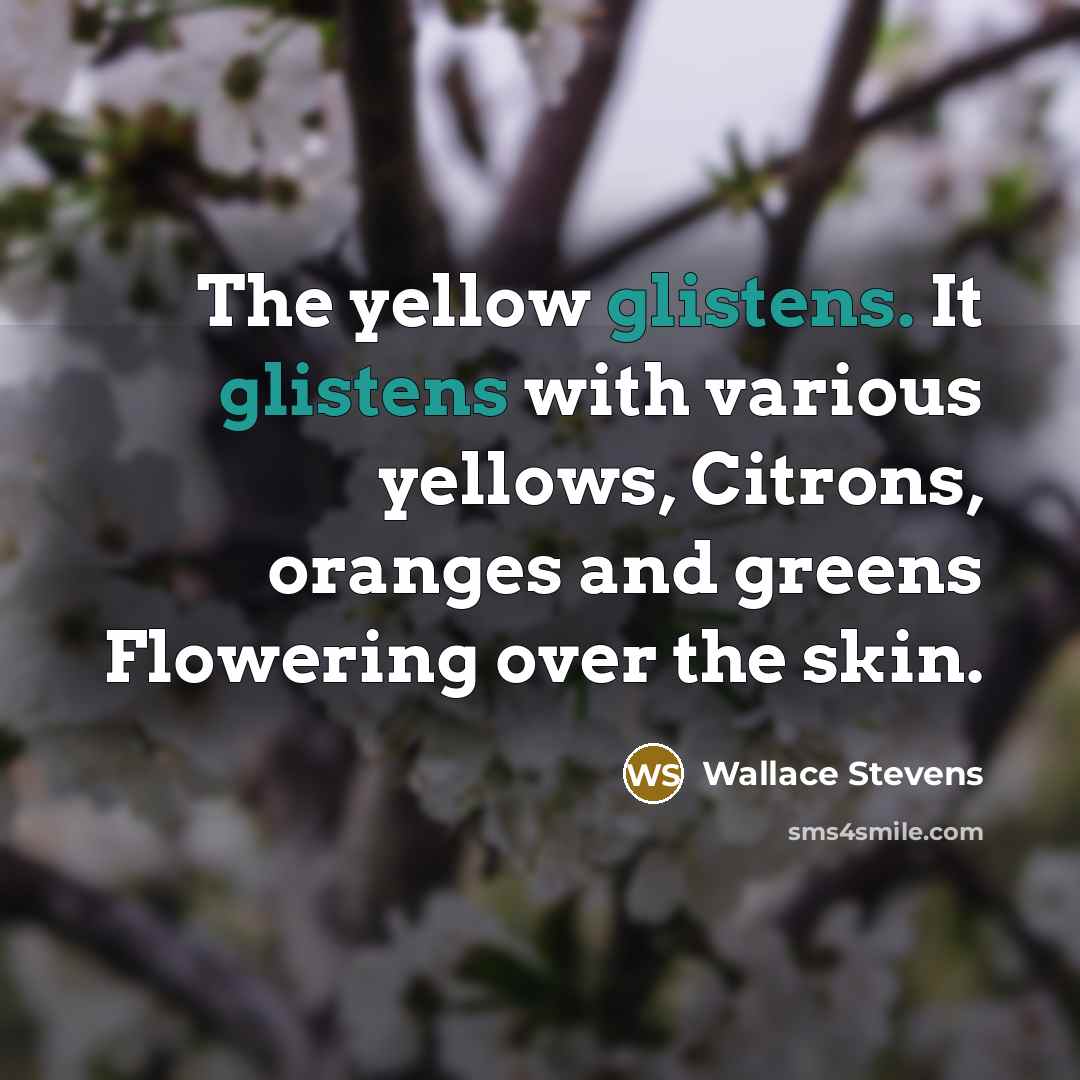“The yellow glistens. It glistens with various yellows, Citrons, oranges and greens Flowering over the skin.” quote by Wallace Stevens