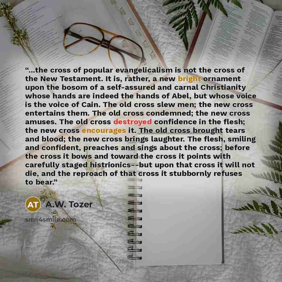 “...the cross of popular evangelicalism is not the cross of the New Testament. It is, rather, a new bright ornament upon the bosom of a self-assured and carnal Christianity whose hands are indeed the hands of Abel, but whose voice is the voice of Cain. The old cross slew men; the new cross…” quote by A.W. tozer