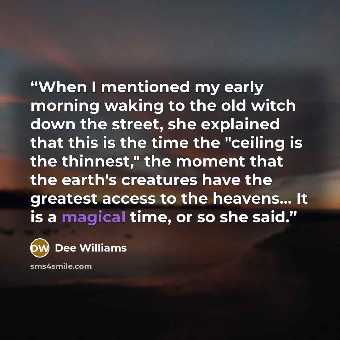 “When I mentioned my early morning waking to the old witch down the street, she explained that this is the time the "ceiling is the thinnest," the moment that the earth's creatures have the greatest access to the heavens... It is a magical time, or so she said.” quote by Dee Williams